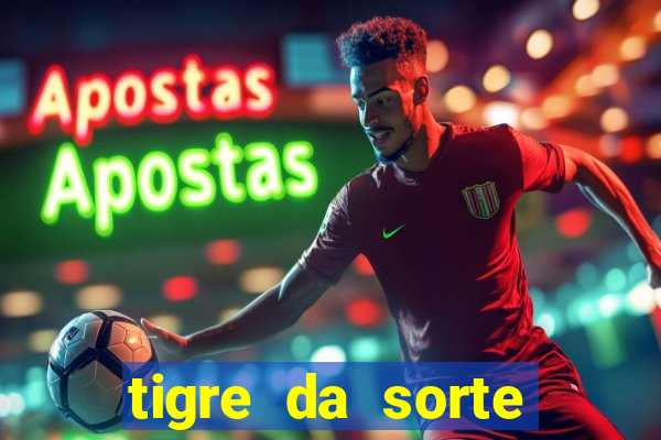 tigre da sorte fortune tiger 2 demo